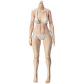 1/6 narrow shoulder female body medium bust white skin