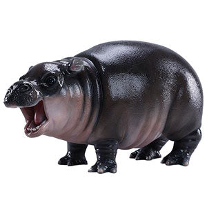 baby hippo BIG