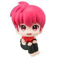 Luc Cup TV Anime "Ranma 1/2" Ranma Complete Figure
