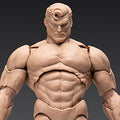 Male body medium skin 1/12 finished action figure