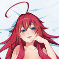 High School DxD HERO Original Illustration Dakimakura Cover (Rias) Smooth