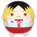 Haikyuu! ! Fuwakororin Msize6 D: Kozume polishing