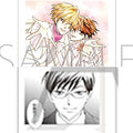 Ouran High School Host Club Pashakore 10 sets BOX