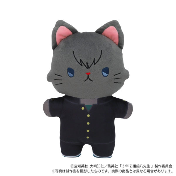 3rd grade Z class Ginpachi teacher with CAT flat stuffed toy with eye mask To...