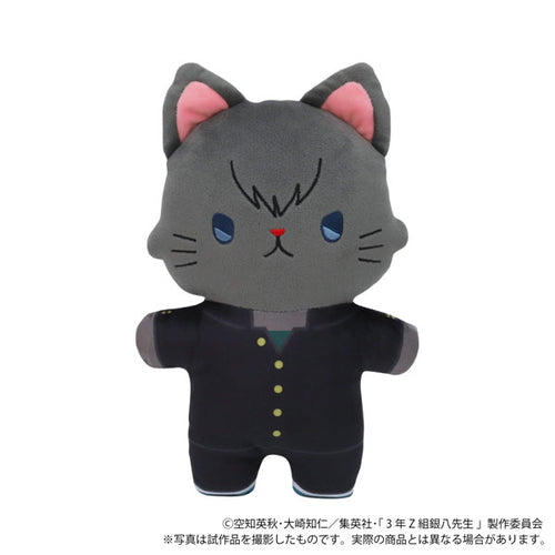 3rd grade Z class Ginpachi teacher with CAT flat stuffed toy with eye mask To...
