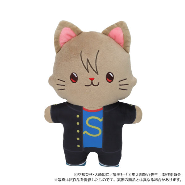 3rd grade Z class Ginpachi teacher with CAT eye mask flat stuffed toy Okita S...