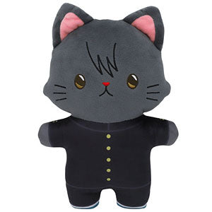 3rd grade Z class Ginpachi teacher with CAT flat stuffed animal with eye mask...