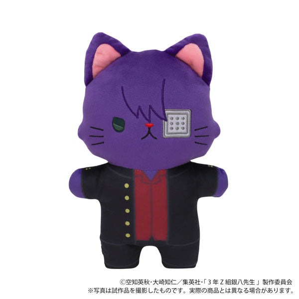 3rd grade Z class Ginpachi teacher with CAT flat stuffed animal with eye mask...