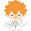 Haikyuu! ! Zanui nap ver. Shoyo Hinata