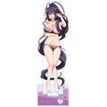 High School D×D HERO Extra Large Acrylic Stand (Himejima Akeno)