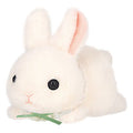 Chimoshirabitsu White (crawling)