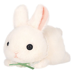 Chimoshirabitsu White (crawling)