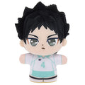 Puri Nutchi Dream Minimini Haikyuu! ! Hajime Iwaizumi