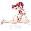 Dolphin Wave Extra Large Acrylic Stand (Iruka Sakimiya (Dollweb General Elect...