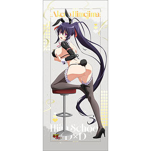 High School D×D HERO Newly Drawn Extra Large Tapestry (Himejima Akeno/Reverse...