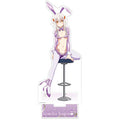 High School D×D HERO newly drawn oversized acrylic stand (Tojo Koneko/Reverse...