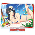 Acrylic stand "Shinovi Master Senran Kagura NEW LINK" 129/Ikaruga (official i...