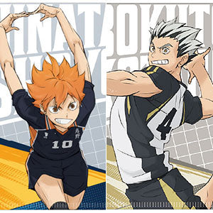 Haikyuu! ! Mini Clear File Gum Box of 20 (Candy Toy)