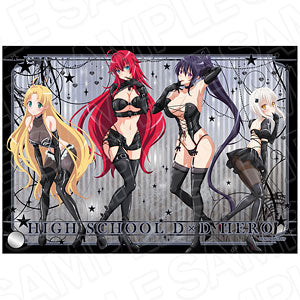 TV Anime "High School DxD HERO" Mini Acrylic Art Bondage Ver.