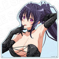 TV anime "High School DxD HERO" Extra Large Die-cut Acrylic Board Himejima Ak...