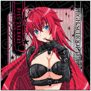TV anime "High School DxD HERO" Microfiber Rias Gremory Bondage ver.