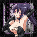 TV anime "High School DxD HERO" Microfiber Himejima Akeno Bondage ver.