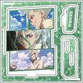 Acrylic stand plate "Dr.STONE" 21/Senku Ishigami (scene illustration)