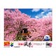 Jigsaw Puzzle Takato Castle Park in Bloom - Nagano 1000 pieces (10-751)