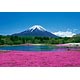 Jigsaw puzzle simple style Fuji Shurei 108 large pieces (01-2046)