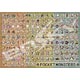 Jigsaw Puzzle Pocket Monsters Pokédex No.001-No.151 1000 Pieces (1000T-31)