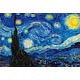 Jigsaw Puzzle Starry Night (M81-867) 1000 pieces