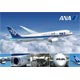 Jigsaw puzzle kids puzzle ANA B787 Wings above the clouds 108 pieces (1108-03)