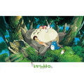 Jigsaw puzzle My Neighbor Totoro Totoro and Ohirune 300 pieces (300-407)