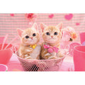 Jigsaw puzzle Momoiro cat 300 pieces (25-164)