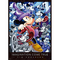 Jigsaw puzzle Imagination Come True 300 pieces (D300-006)