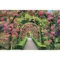 Jigsaw Puzzle Butchart Garden Flower Tunnel 2016 Berry Small Piece (23-601)