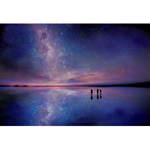 Jigsaw puzzle Uyuni Bolivia starry sky 300 pieces (28-028)