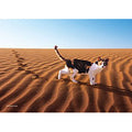 Jigsaw Puzzle Desert at Dawn 108 pieces (03-054)