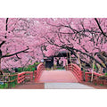 Jigsaw Puzzle No.1 Cherry Blossom Takato Castle Ruins-Nagano 1000 Pieces (10-...