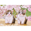 Jigsaw puzzle pet sitting kitten cat 300 pieces (25-183)