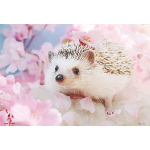 Jigsaw puzzle Hedgehog Azuki 300 pieces (P33-181)
