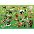 Jigsaw Puzzle Let's learn about animals! 80 pieces (80-015)