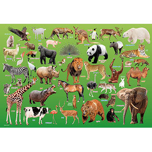 Jigsaw Puzzle Let's learn about animals! 80 pieces (80-015)