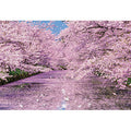 Jigsaw puzzle Hirosaki Park cherry blossoms 300 pieces (33-184)
