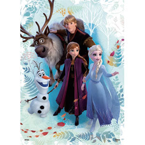 Puzzle Decoration Frozen 2 Frozen Journey 500 pieces (74-012)