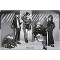 Jigsaw Puzzle RADIO EVA Illustration 02 Real Street Style 1000 Pieces (10-1366)
