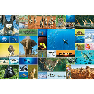 Jigsaw puzzle Life of Animal 300 pieces (83-097)