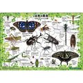 Jigsaw Puzzle Picture Puzzle Japanese Insects 35 Pieces (25-008)