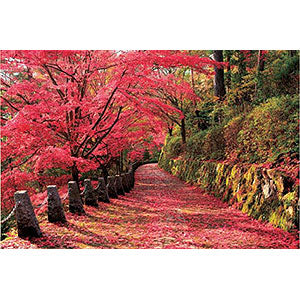 Jigsaw Puzzle Autumn Foliage View of Mt. Yoshino-Nara 2016 Very Small Piece (...