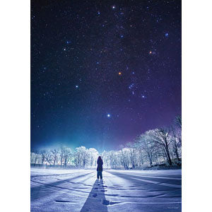 Jigsaw puzzle non-character winter diamond 500 pieces (05-1042)